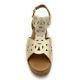 PITILLOS 10350 oro
