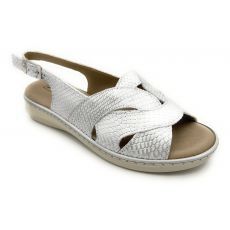 PITILLOS 10301 rep.plata