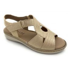 PITILLOS 10303 oro